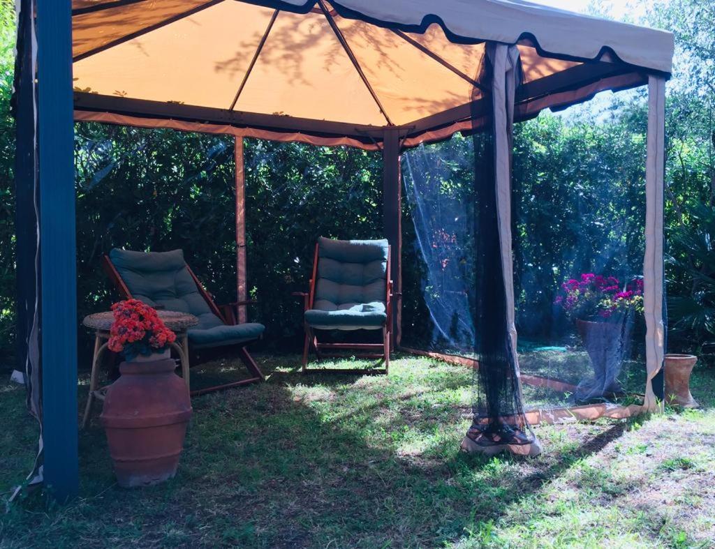Apartamento Cedro del Libano Castiglioncello Exterior foto